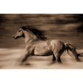 thumbnail image 3 of Dearing, Lisa 18x13 Black Modern Framed Museum Art Print Titled - Wind Runner, 3 of 5