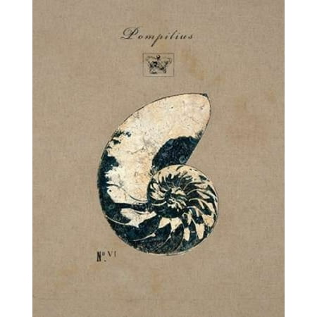 - Vintage Linen Nautilus Poster Print by Regina Andrew Design