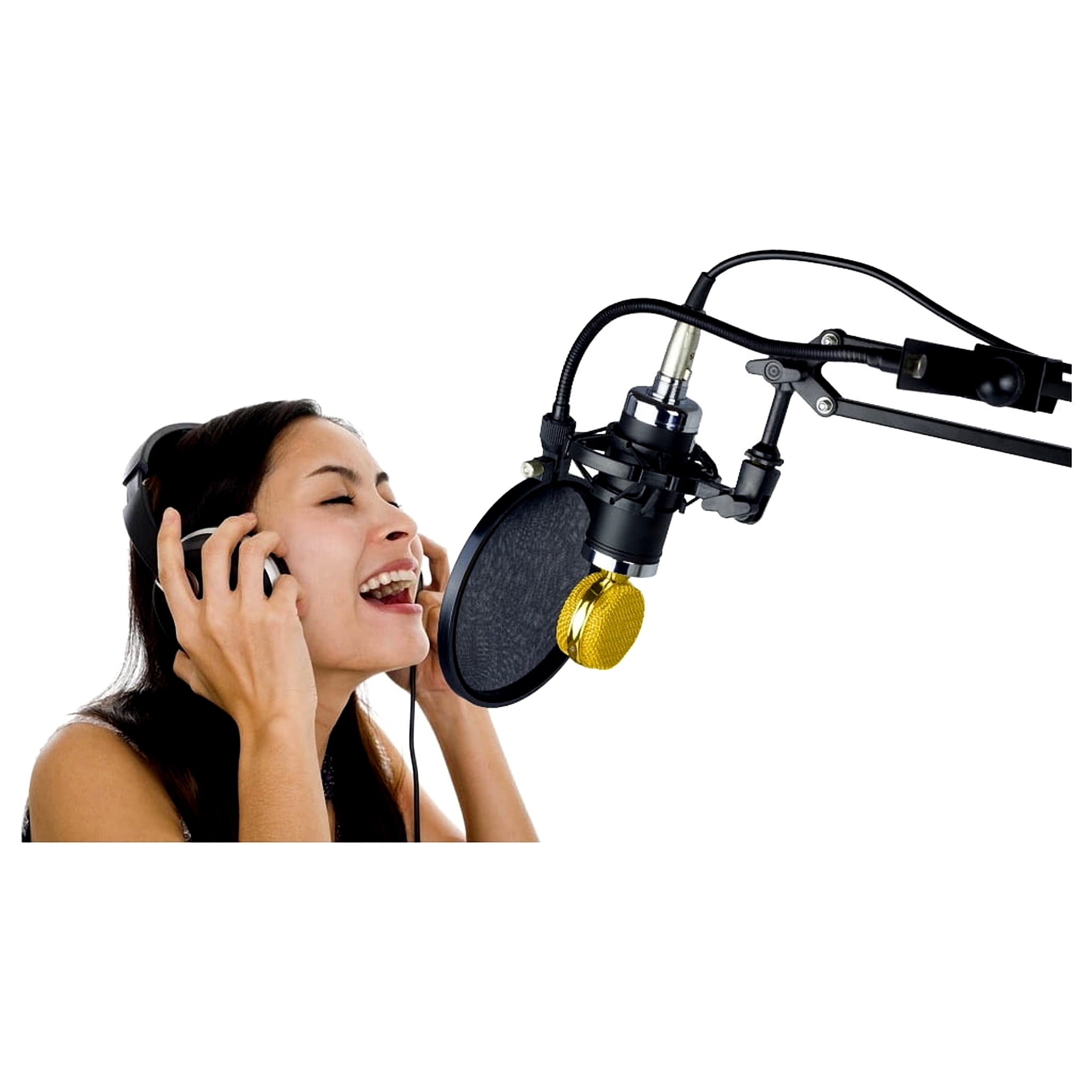 Mic pop filter w/boom and stand clamp
