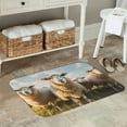 thumbnail image 5 of Kdxio Cute Prairie Sheep Herd,16" x 24", Non-Slip Front Door Mats,Outdoor Welcome Mat Washable, 5 of 9