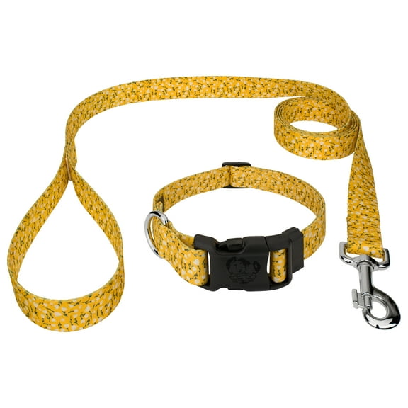 Country Brook Petz® Deluxe Spring Cottagecore Dog Collar and Leash, 2XS