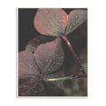 thumbnail image 2 of Stupell Industries Red Sparkle Petals Warm Tone Clover Detail Wall Plaque by Daphne Polselli, 2 of 5