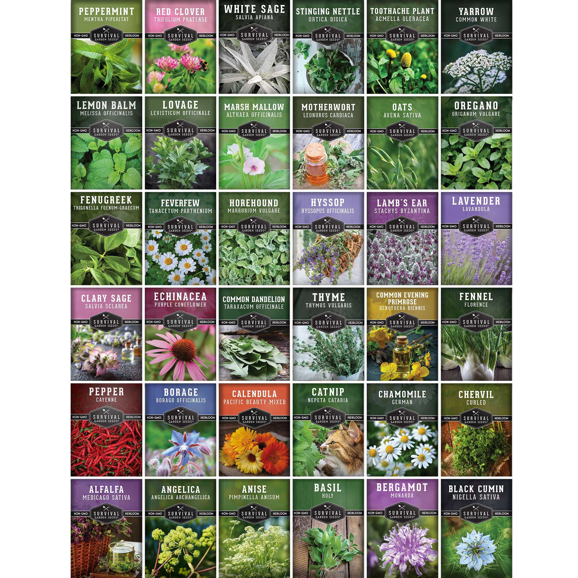 36 Pack Ultimate Medicinal Herb Seed Collection - Full Sun Perennials & More