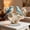 E, variant on Zzbeans Acrylic Flower Decor, Elegant Acrylic Home Decorations, Decorative Items for Living Room Bedroom Office Gift
