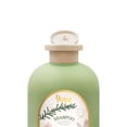 thumbnail image 3 of Shampoo Yuya Republic Cosmetics fresco Y purificante crecimiento menta 450 ml, 3 of 4