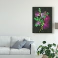 thumbnail image 3 of Trademark Fine Art 'Calliandra Surinamensis I' Canvas Art by Melissa Wang, 3 of 4
