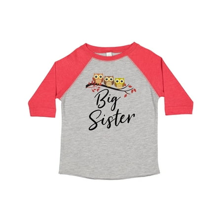

Inktastic Owl Big Sister Gift Toddler Toddler Girl T-Shirt