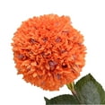 thumbnail image 1 of DISHAN Lifelike Colorful Imitation Roman Hydrangea - Non-Fading, Realistic, No Watering, No Withering, Imitation Flower for Wedding and Party Decor, 1 of 8