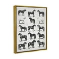 thumbnail image 3 of Stupell Industries Vintage Varied Horse Breeds Graphic Art Metallic Gold Floating Framed Canvas Print Wall Art, Design by Daphne Polselli, 3 of 8