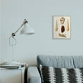 thumbnail image 5 of Stupell Industries Antique Warm Brown Patterned Round Sea Shell Vintage Framed Wall Art Design by G.W. Knorr, 11" x 14", Gray Framed, 5 of 5