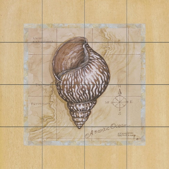 Tile Mural Bathroom Backsplash - Sea Treasures IV-JK - by Janet Kruskamp