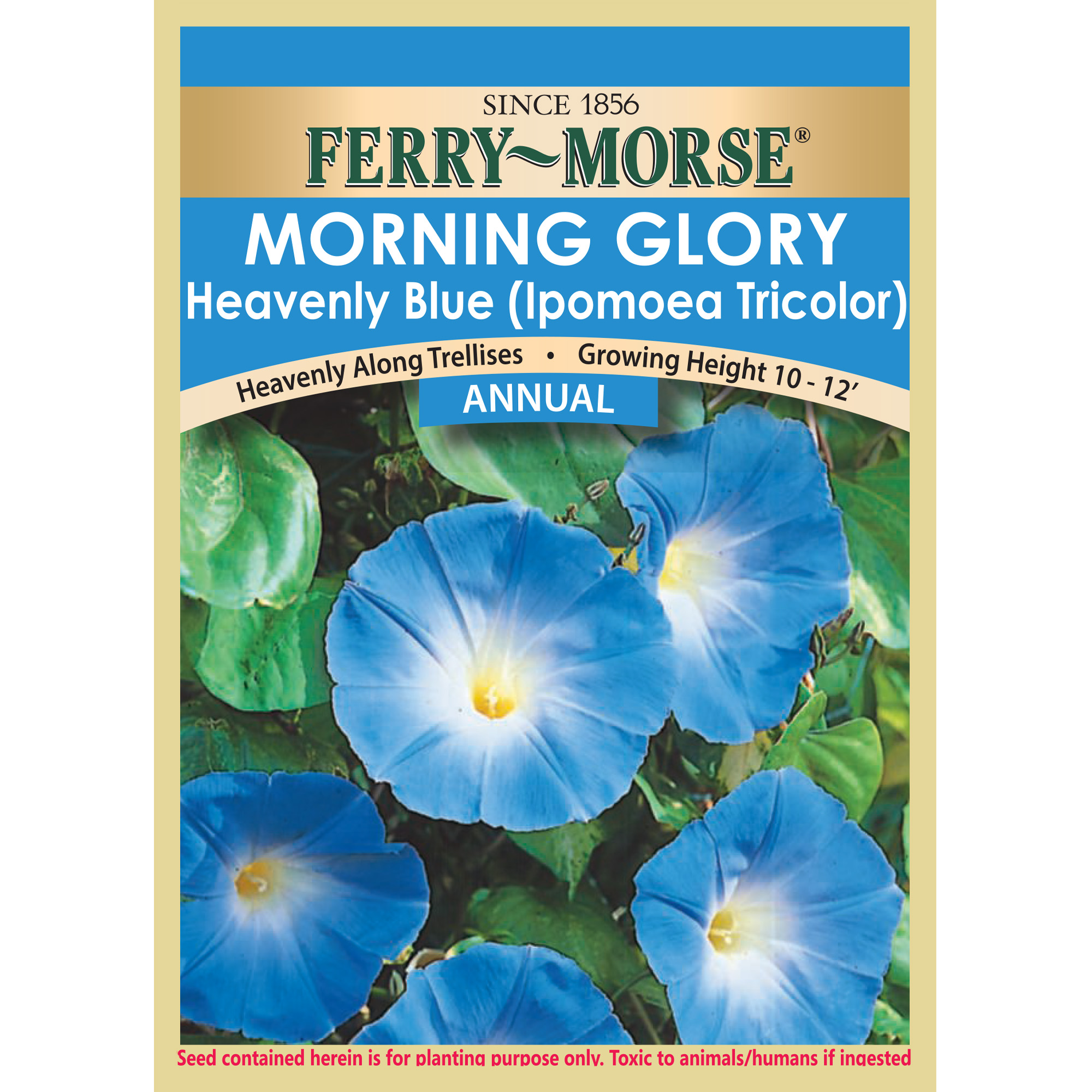 Ferry Morse Morning Glory Heavenly Blue Walmart Com Walmart Com