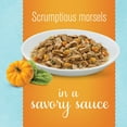 thumbnail image 2 of Purina Bella Morsels in Sauce Turkey Pumpkin Spinach Natural Dog Food, 3.5 oz, 2 of 7