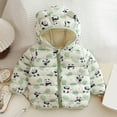 thumbnail image 2 of Tisuna Toddler Girls Boys Coat Cartoon Panda Print Long Sleeve Hooded Jacket Cute Fashion Autumn Winter Kids Zipper Clothes Green Size 2-3 Years, 2 of 7
