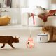 thumbnail image 4 of Bola de juguete de gato interactiva Bola de fuga de gato creative gato teaser varita de juguete ansiedad alivio de escarabajos gato bola de juguete suministros para mascotas, 4 of 9