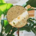 thumbnail image 2 of AMLESO PapiWooden Paper Mold Frame Screen DIY Artist Canvases for Artist Lovers, Round 17cm, 2 of 8