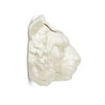 thumbnail image 2 of Tiger Head Wall Planter, 2 of 4