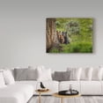 thumbnail image 3 of Trademark Fine Art 'Sow And Cubs Family' Canvas Art by Galloimages Online, 3 of 3