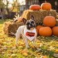 thumbnail image 5 of 1 Pcs Halloween Dog Bandanas, Triangle Dog Scarf Pumpkin Spider Bat Ghost Pet Bandana Bibs Handkerchief For Small Medium Large Dogs Puppy Halloween Holiday Birthday Party Supply, 5 of 7