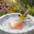 thumbnail image 3 of Outdor 1Pcs Bird Bath DiscPure Copper Bird Bath Purification Disk 4Inch 0.7MM Thick Self Cleaning Design For Clean Water All Year Disks For Outdoor Birdbaths Bowls Founta, 3 of 5