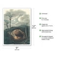 thumbnail image 2 of Jelly Palm Tree (Butia Capitata) - Formiga Brazil - Vintage Botanical Illustration by Carl Friedrich Philipp von Martius c.1820s - Master Art Print (Unframed) 9in x 12in, 2 of 4