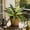 Green-Free Size/A, variant on Artificial Greenery Wall Decor 17.72In Realistic Foliage Texture Zero Upkeep Non Fading Shape Retention Profile for Living Room Table Hallway Store Easter Indoor Outdoor Vase Matching Home Decor