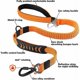 thumbnail image 3 of Correa fuerte para perros con asa acolchada, cuerda antitirones, correa de entrenamiento elástica para perros medianos y grandes con tracción intensa (110 CM-150 CM, naranja), 3 of 4