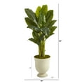 thumbnail image 2 of Nearly Natural 52in. Triple Stalk Banana Artificial Tree in Decorative Urn (Real Touch), 2 of 3