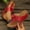 Red, variant on Hoshose New Summer Wedge Slippers for Women Flower Fish Mouth Breathable Solid Color Outdoor Slip on Beach Flip Flops