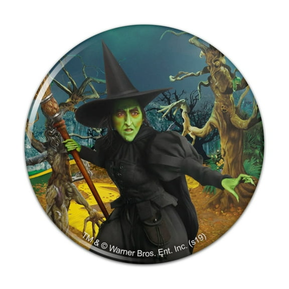 Wizard of Oz Wicked Witch Character Kitchen Refrigerator Locker Button Magnet