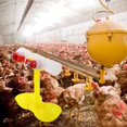 thumbnail image 5 of uds, bebedero automático para pollos, bebedero para gallinas, bebedero para pollos de plástico, Automa, 5 of 5
