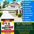 thumbnail image 4 of Nature's MACE Peppermint Rodent Mouse Repellent 1 Gallon Ready-to-Use Spray, Treats Up To 5,600 Sq.ft, 4 of 7