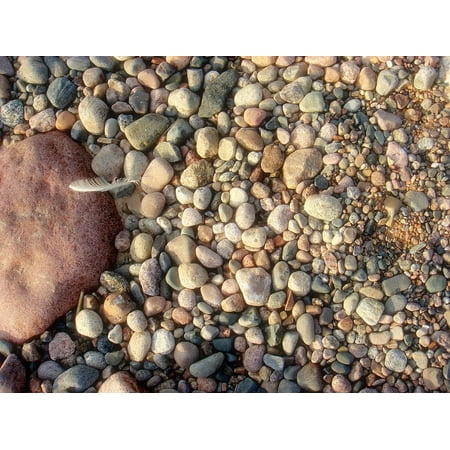 Ground Seal - Canvas Print Ground Stones Sea Surface Shore Baltic Beach Stretched Canvas 10 x 14