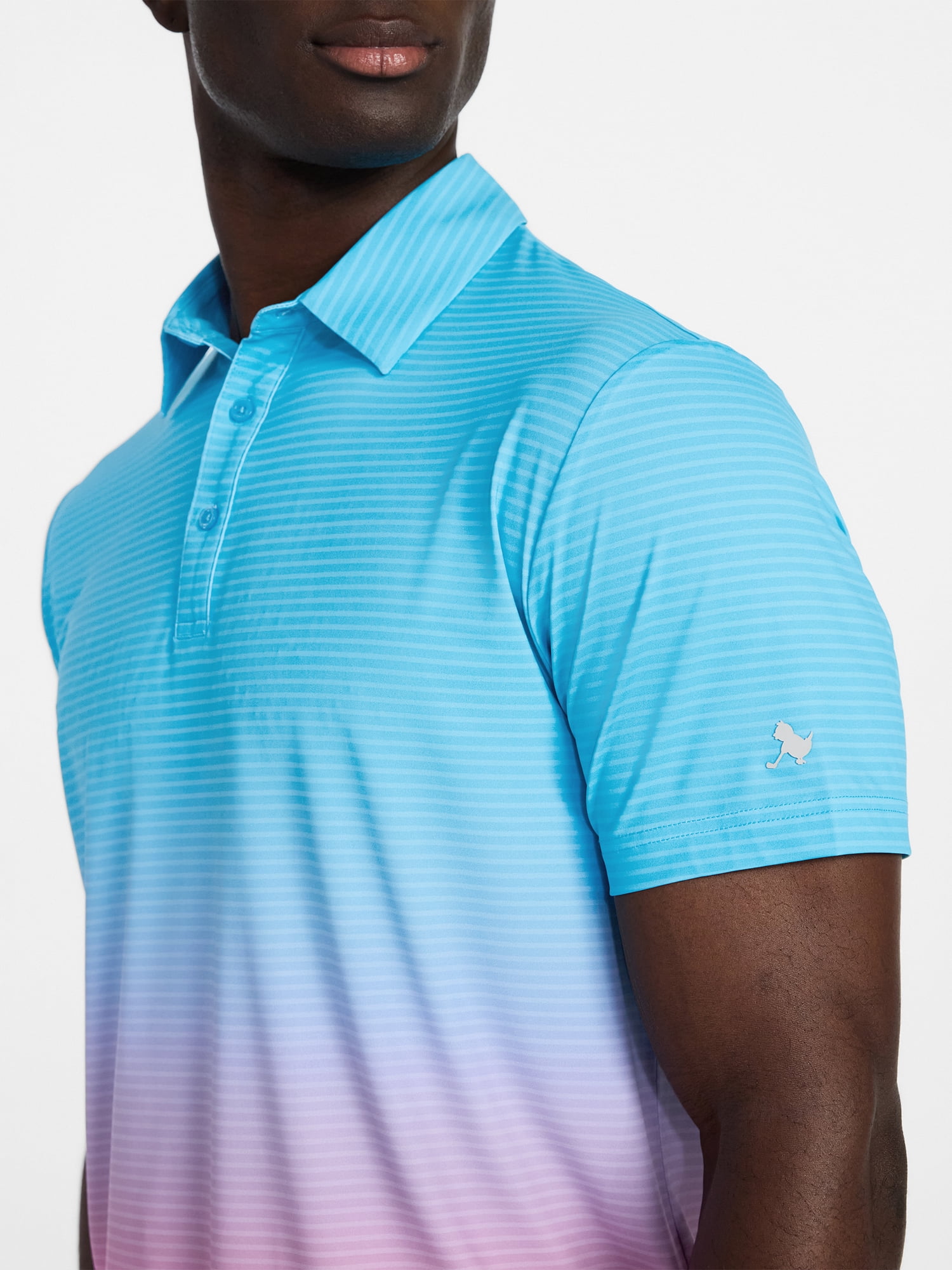 Birdie Bound Men's& Big & Tall Men's Ombre Stripe Polo Shirt with Short Sleeves, Sizes XS-4XLT
