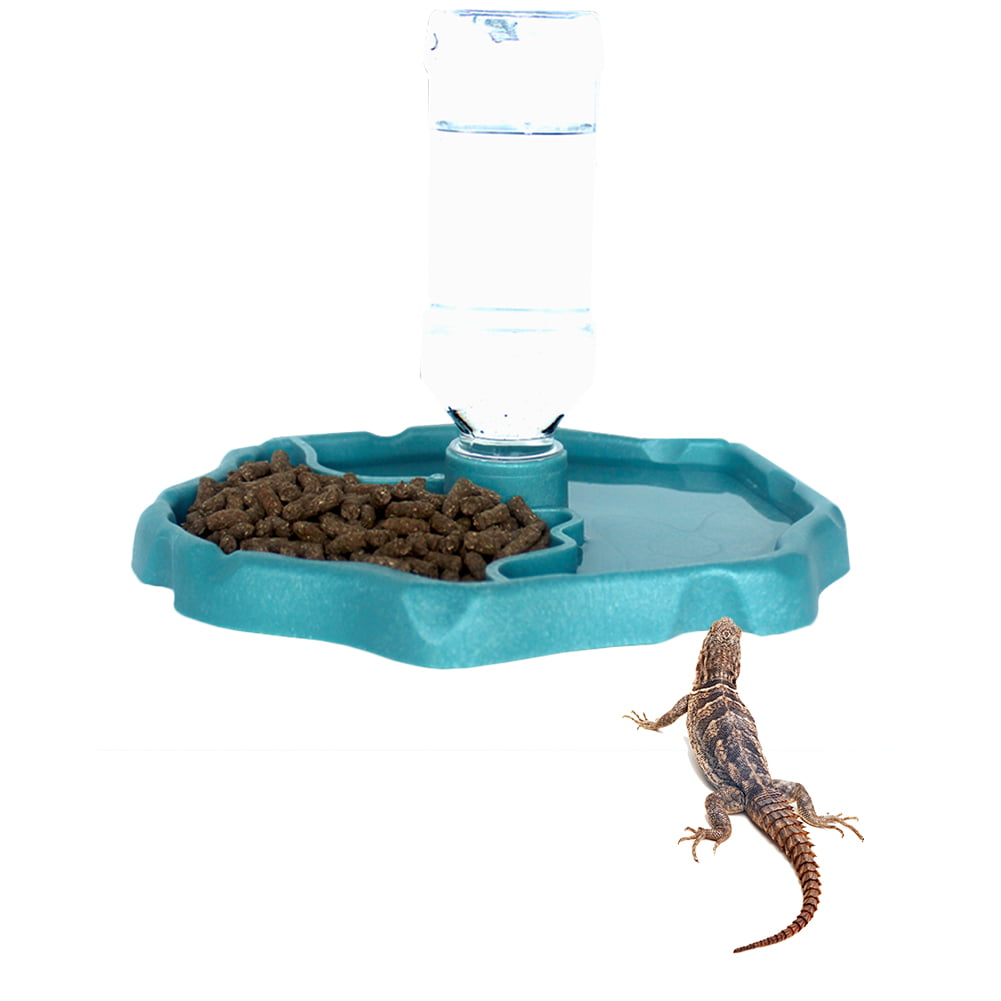 Gecko Feeder with 2 Bowls for Reptile Lizard Food and Water Feeding Basin 