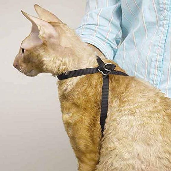 Black Nylon Adjustable Cat Harness 40" Secure Pet Restraint Easy Snap Closure
