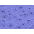 thumbnail image 1 of Ahgly Company Machine Washable Indoor Rectangle Transitional Purple Mimosa Purple Area Rugs, 2' x 4', 1 of 7