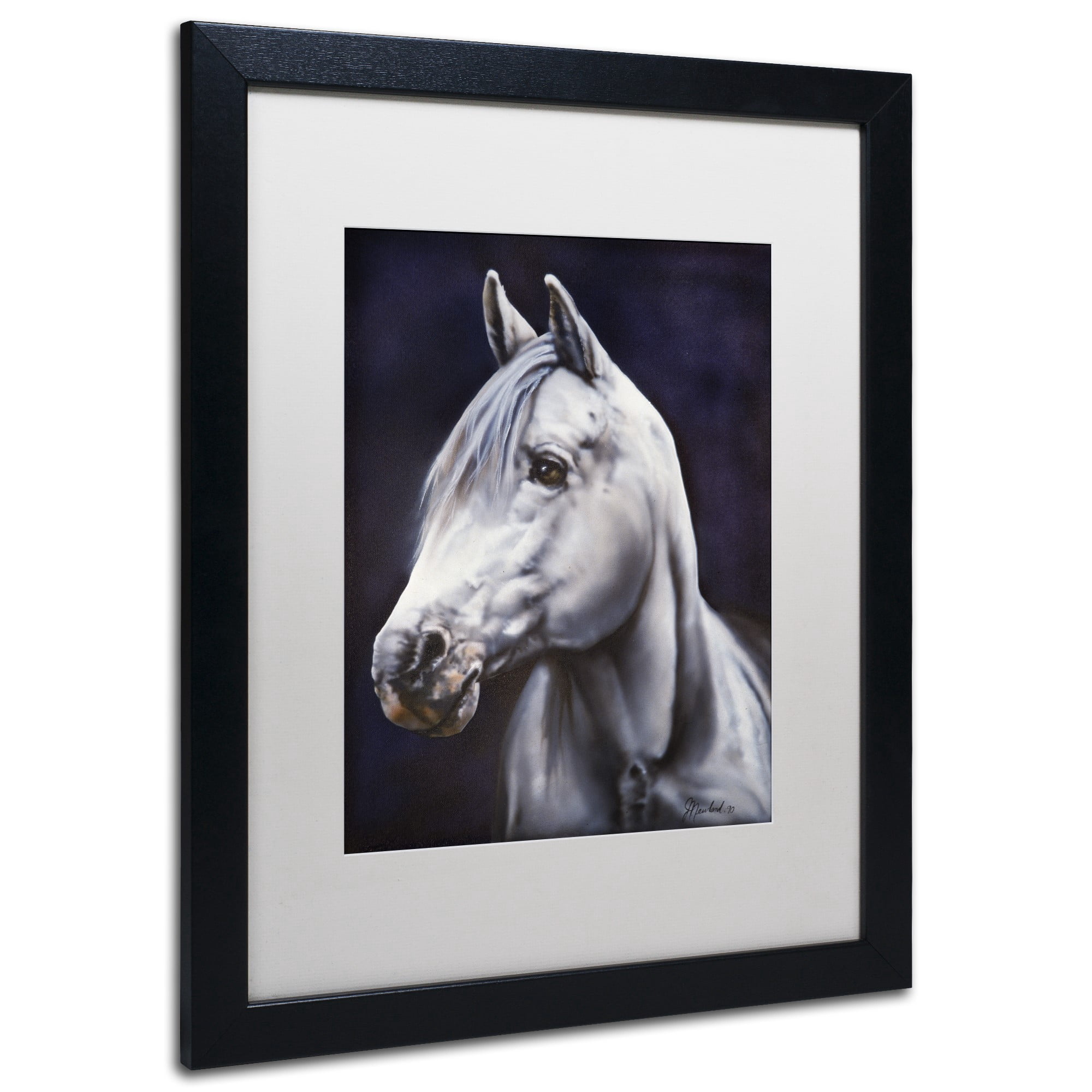 Trademark Fine Art 'White Arabian Stallion' Canvas Art by Jenny Newland, White Matte, Black Frame