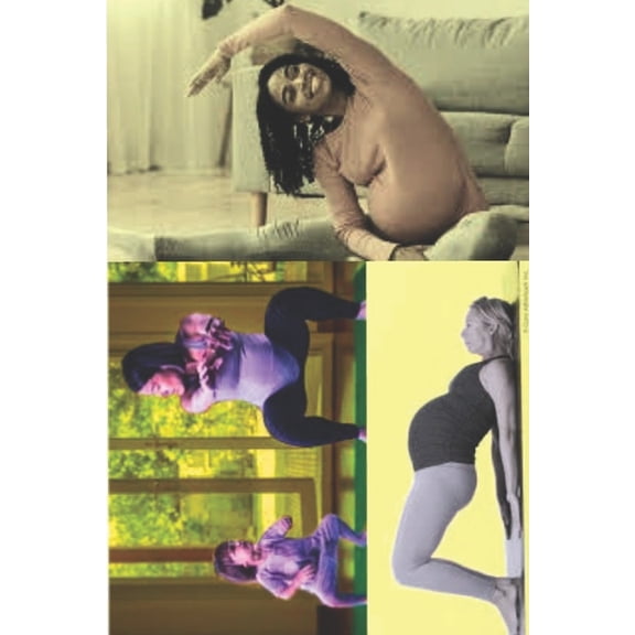 Exercise and Pregnancy : Guidelines for a Safe and Healthy Journey (Paperback)