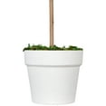 thumbnail image 5 of Northlight 14" Reindeer Moss Ball Potted Artificial Spring Topiary Tree - Green/White, 5 of 6