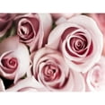 thumbnail image 3 of Telik, Tracey 18x15 Black Modern Framed Museum Art Print Titled - Blush Tone Bouquet, 3 of 5