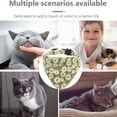 thumbnail image 5 of Paquete de 2 collares separables con diseño de gato, pajarita, collar de color floral con margaritas, 5 of 5