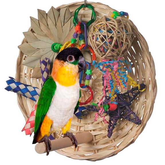 Super Bird Creations SB543 Busy Birdie Play Perch - Foraging Bird Toy, Small & Medium Bird Size - Parakeets, Cockatiels, Small Conures - Interactive Elements - Stimulating Playtime - 9.5" x 9.5" x 6"