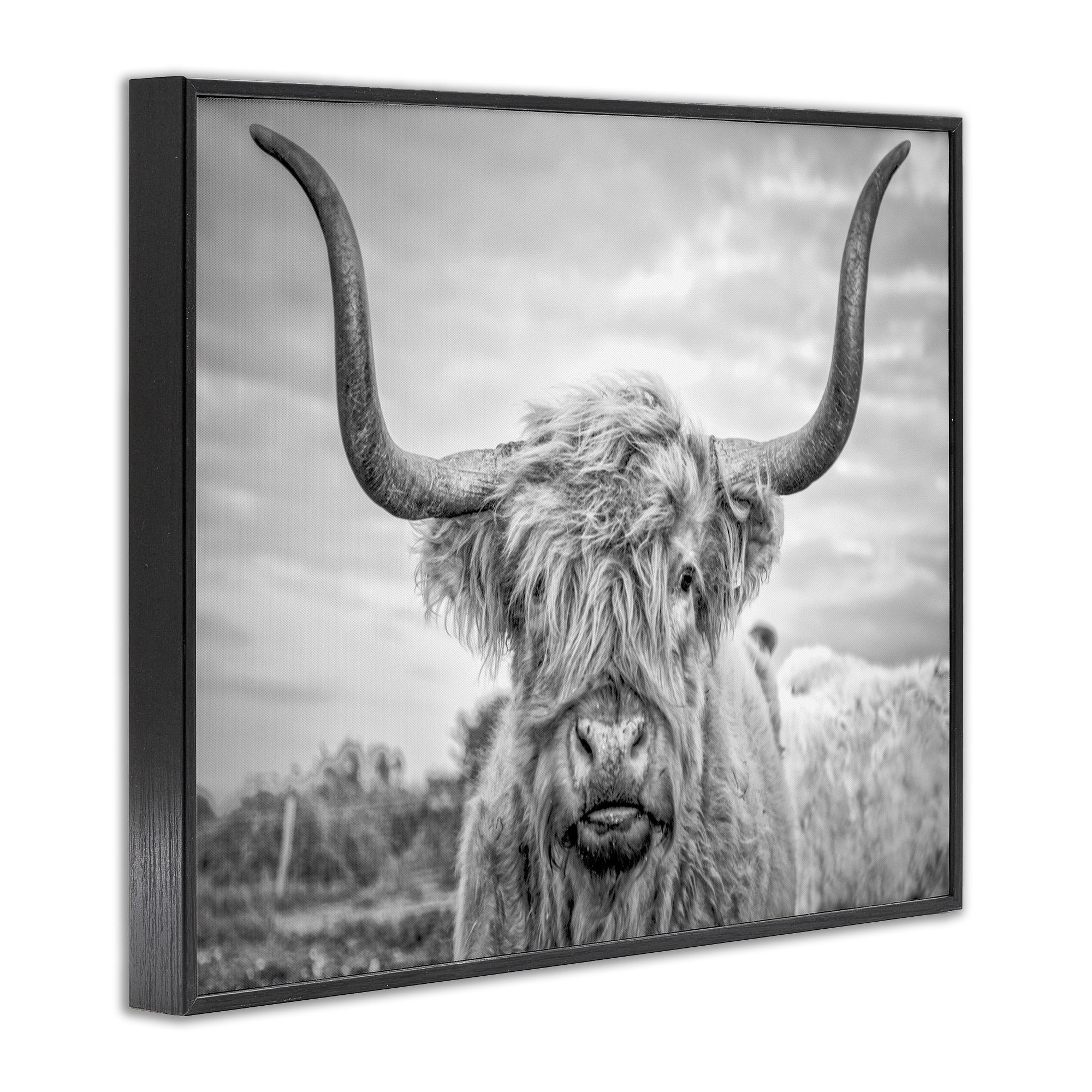 Stupell Industries Black and White Highland Cow Framed Texturized Art