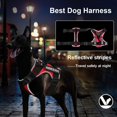 thumbnail image 5 of Arnés reflectante para perros, chaleco antitirones, correa para perros pequeños, medianos y grandes, etiqueta de identificación personalizada, accesorios para perros, 5 of 5