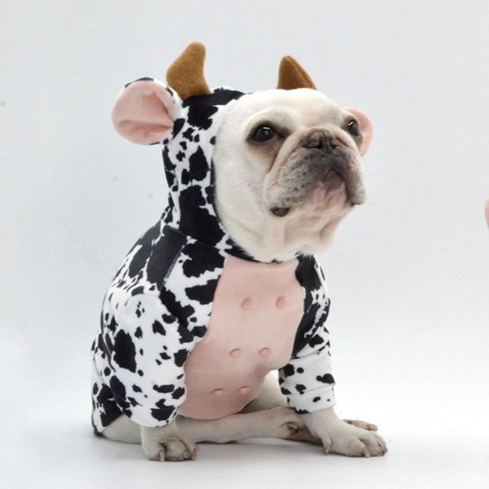 premium pooch products
