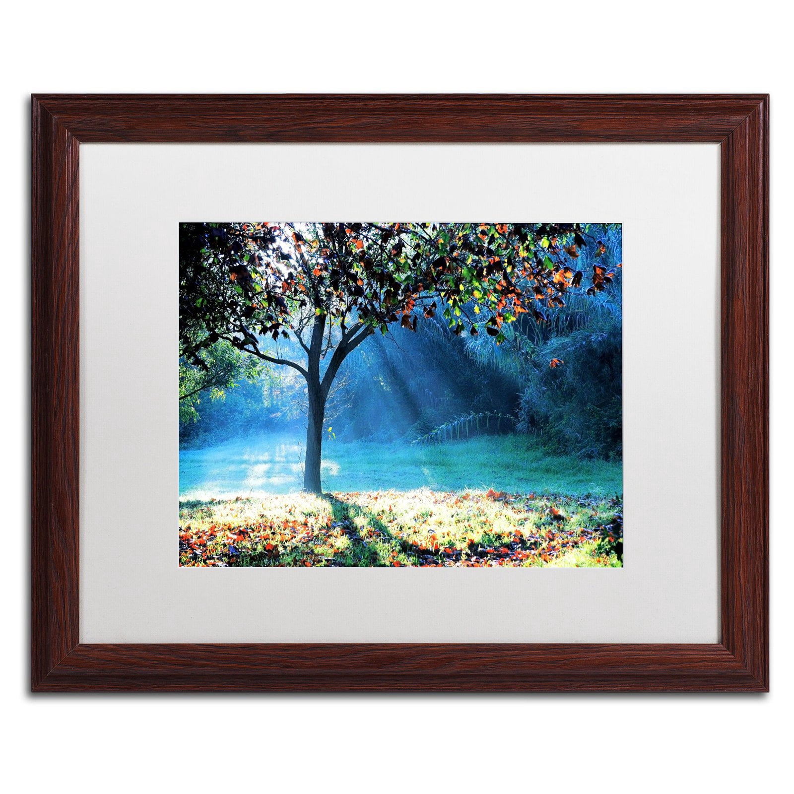 Trademark Fine Art "Rays of Hope" Canvas Art by Beata Czyzowska Young, Black Matte, Black Frame
