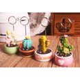 thumbnail image 3 of Yageerya Succulent Plants Microlandschaft Memo Clips Message Photo Holder Stand (Cactus Coffee Base), 3 of 4