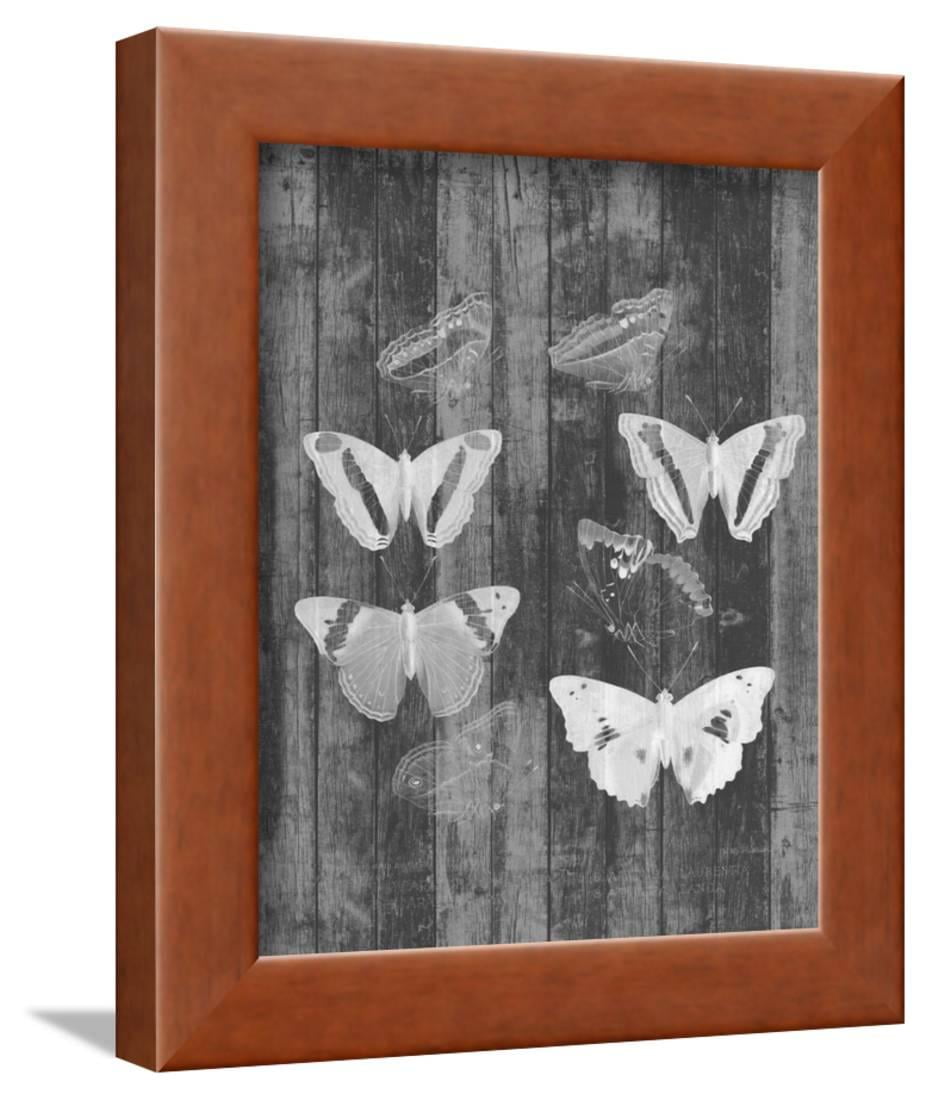  Rustic  Butterfly Chart I Framed Print Wall Art  By Jennifer 