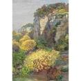 thumbnail image 3 of Hugo Charlemont 14x18 Black Modern Framed Museum Art Print Titled - Broom in Bloom on Brioni (1912), 3 of 5